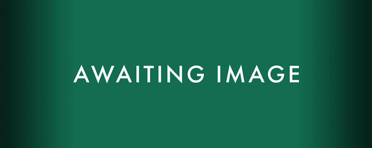 Awaiting Image
